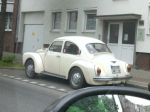 Rolls Bug